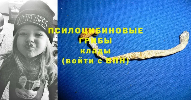 Наркошоп Каргополь Cocaine  Мефедрон  A-PVP  ГАШИШ 