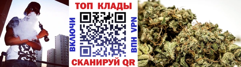 Галлюциногенные грибы Каргополь