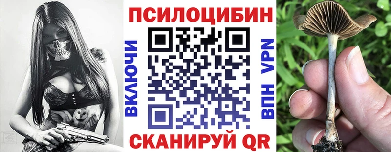 гидра рабочий сайт  Каргополь  Галлюциногенные грибы Magic Shrooms 
